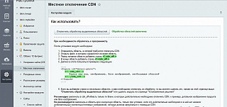 Местное отключение CDN на сайте
